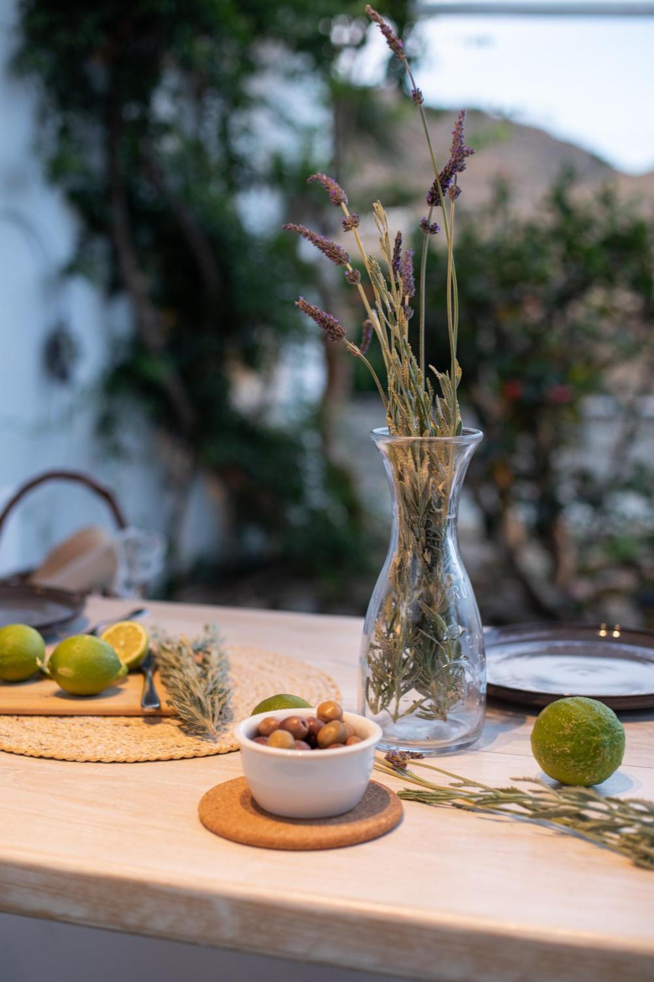 Levantes House Mykonos Ano Mera Exterior photo